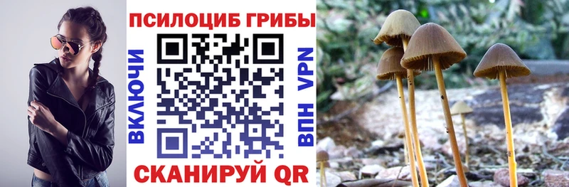 Псилоцибиновые грибы мицелий  как найти   Отрадная 